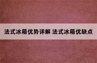 法式冰箱优势详解 法式冰箱优缺点